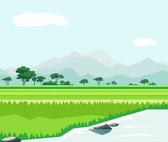 bellissimo campo di riso paesaggio con montagne e fiume vettore illustrazione