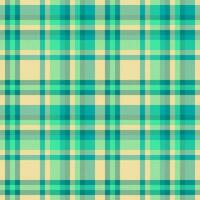 sfondo tessile senza soluzione di continuità di tartan vettore modello con un' tessuto dai un'occhiata struttura plaid.