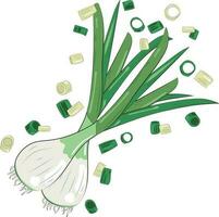 tritato verde cipolla elemento erba cipollina fette illustrazione grafico elemento arte carta vettore
