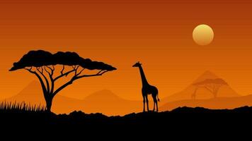 natura paesaggio vettore illustrazione. natura Africa savana di giraffa con africano albero e tramonto cielo. natura silhouette paesaggio per sfondo, sfondo, Schermo o atterraggio pagina