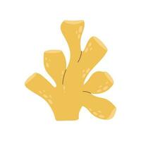 carino marino giallo corallo nel cartone animato stile. multicolore elemento di il subacqueo mondo. decorativo corallo per acquario e pesce Casa. vettore azione illustrazione nel piatto stile.