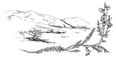 inchiostro mano disegnato schizzo vettore illustrazione. paesaggio scenario di Highlands campagna natura. colline, lago, erica. orizzontale bandiera composizione. design per viaggiare, turismo, opuscolo, Stampa, parete arte