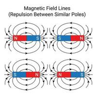 simile poli di magnete respingere ogni Altro. magnetico campo Linee. vettore