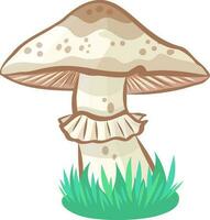selvaggio champignon fungo vettore Immagine senza sfondo