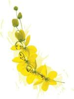 astratto di budino pino o d'oro doccia su morbido giallo diffusione sfondo. scientifico nome Cassia fistola vettore