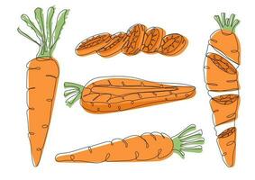 carota impostato metà, fetta e totale, linea arte vettore