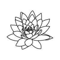 sakura ciliegia fiorire fiore linea arte vettore illustrazione
