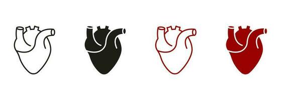 salutare cardiovascolare organo simbolo collezione su bianca sfondo. umano cuore, cardiaco muscolo linea e silhouette colore icona impostare. medico cardiologia pittogramma. isolato vettore illustrazione.