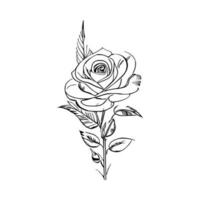 bellissimo mano disegnato fiore rosa schizzo vettore