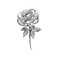 bellissimo mano disegnato fiore rosa schizzo vettore