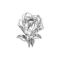 bellissimo mano disegnato fiore rosa schizzo vettore