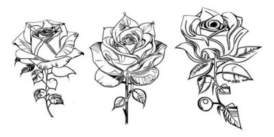 bellissimo mano disegnato fiore Rose vettore