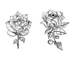 bellissimo mano disegnato fiore Rose vettore