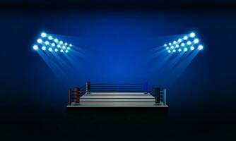 meravigliosamente illuminato boxe stadio e luci vettore design