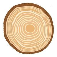 albero tronco legna squillo. albero tronco attraversare sezione. legna fetta tagliare isolato su bianca sfondo. vettore