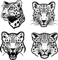 leopardo testa logo vettore stampino impostato