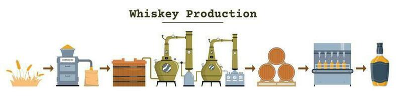 whisky fabbricazione piatto infografica vettore