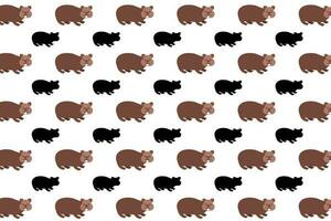 piatto wombat animale modello sfondo vettore