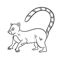 lemure selvaggio animali vettore illustrazione delineato isolato su piazza bianca sfondo. semplice piatto lato Visualizza cartone animato disegno.