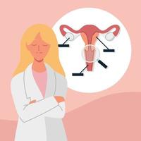 ginecologo anatomico uterino vettore
