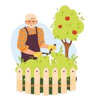 un anziano uomo è taglio un' cespuglio nel il giardino. giardiniere o contadino. piatto vettore illustrazione.