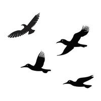 il gregge di uccelli volante su un' bianca sfondo silhouette illustrazione. vettore