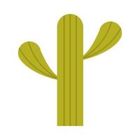 pianta di cactus natura botanica icona piatta sfondo bianco vettore