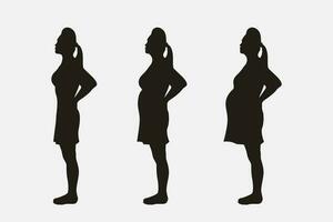 incinta silhouette impostato mese stadi vettore