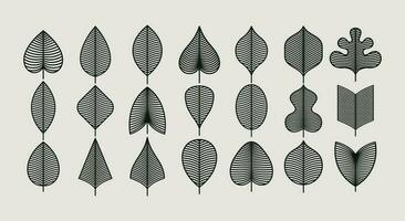 impostato di moderno linea naturale foglia grafico design. biologico pianta foglia modello impostare. vettore