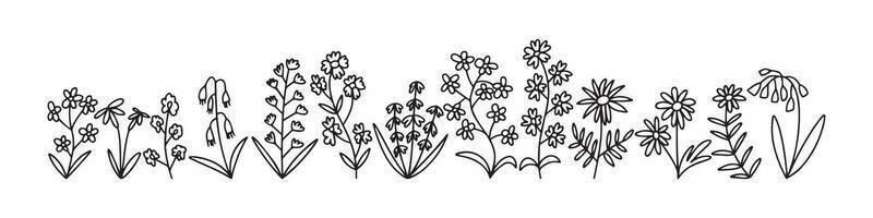 vettore scarabocchio diverso tipi di fiori e erbe aromatiche impostare. grande botanico selvaggio fiori impostato