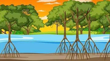 scena della natura con la foresta di mangrovie al tramonto in stile cartone animato vettore