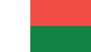 Madagascar bandiera icona nel piatto stile. nazionale cartello vettore illustrazione. politica attività commerciale concetto.