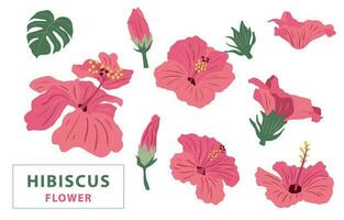 fiore collezione con rosa ibisco elemento.vettore illustrazione per icona, adesivo, stampabile vettore
