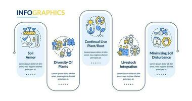 i principi di rigenerativa agricoltura blu rettangolo Infografica modello. dati visualizzazione con 5 passi. modificabile sequenza temporale Informazioni grafico. flusso di lavoro disposizione con linea icone vettore