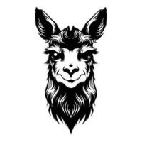 lama viso e testa clipart, alpaca animale logo, ritratto di un' lama vettore