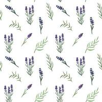 provence lavanda fiori e le foglie senza soluzione di continuità modello. mano disegnato estate acquerello vettore