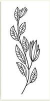 floreale rami e minimalista fiori per logo o tatuaggio. disegnato a mano linea nozze erba, elegante le foglie. vettore