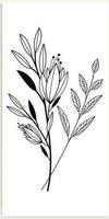 floreale rami e minimalista fiori per logo o tatuaggio. disegnato a mano linea nozze erba, elegante le foglie. vettore