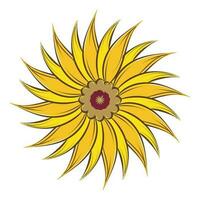 floreale linea disegno, nero e bianca girasoli vettore illustrazione