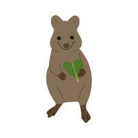 Quokka singolo carino vettore