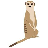 meerkat singolo carino vettore