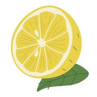 Limone singolo su un' bianca sfondo vettore