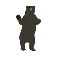 americano nero orso singolo personaggio vettore