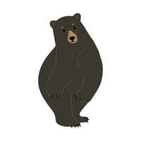 americano nero orso singolo cartone animato stile. vettore