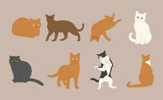 carino gatto gruppo vettore illustrazione