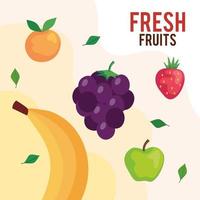 banner di frutta fresca, concetto di cibo sano vettore