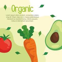 banner con verdure biologiche, concetto di cibo sano vettore