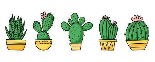impostato carino verde cactus e succulente nel giallo pentole. cartone animato vettore illustrazione