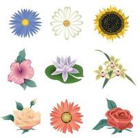 fiori illustrazione gratuito vettore