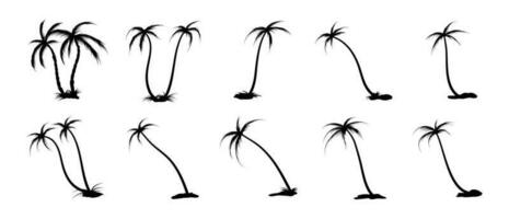palma albero silhouette illustrazione vettore impostato